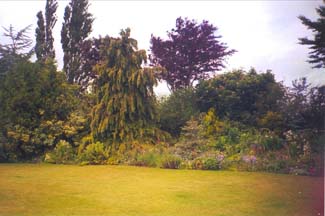 The Ballon Garden - Ballon County Carlow Ireland